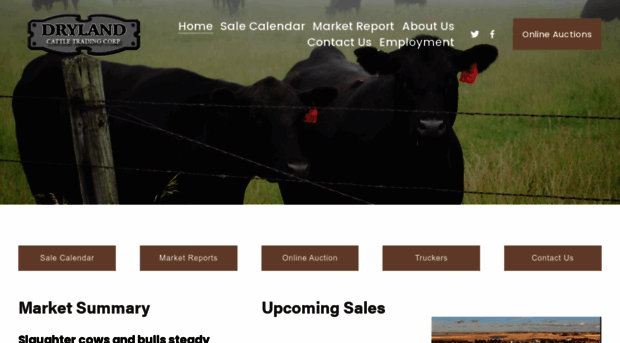 drylandcattle.com