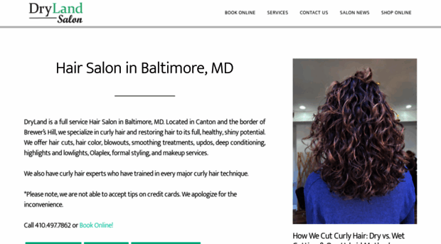 drylandsalon.com