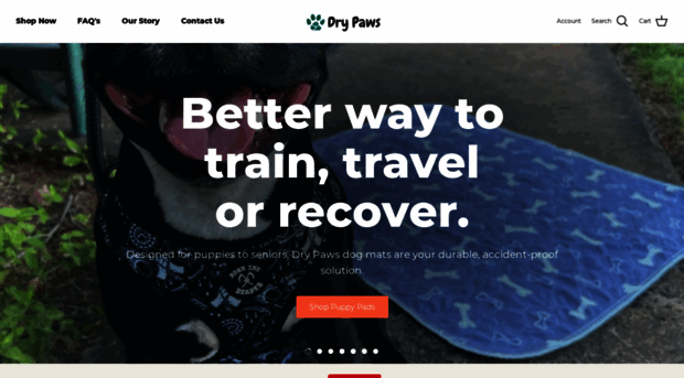 drypaws.co