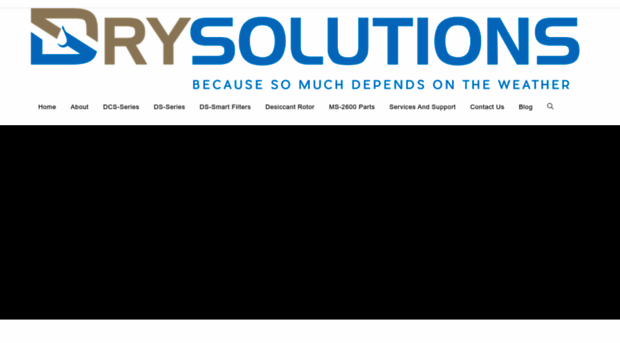 drysolutionsinc.com