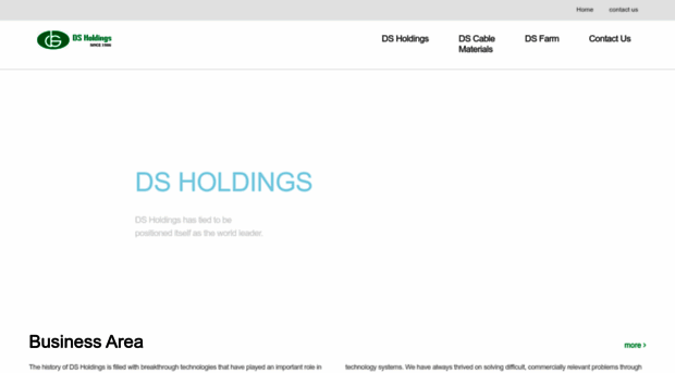 ds-holdings.com