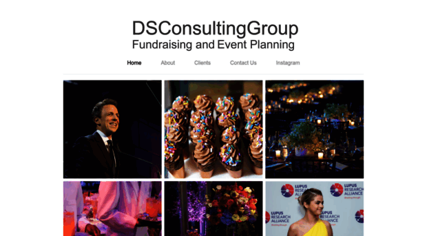 dsconsultinggroup.com