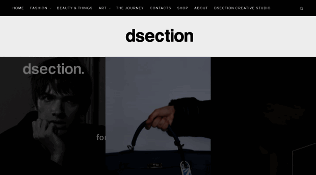 dsectioncreative.com
