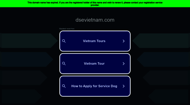 dsevietnam.com