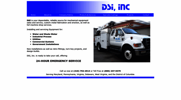 dsipumps.com