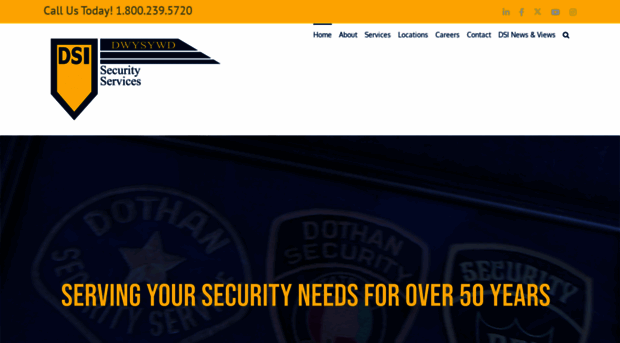 dsisecurity.com