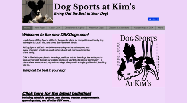 dskdogs.com