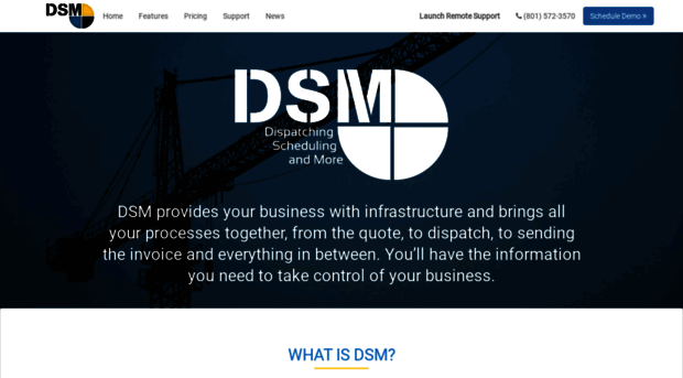 dsm-software.com