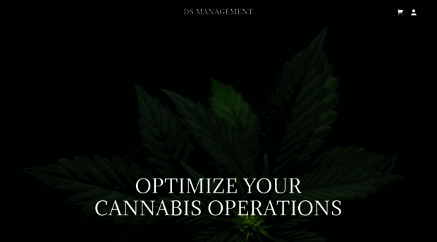dsmanagementllc.com