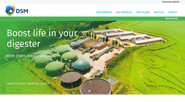 dsmbiogas.com