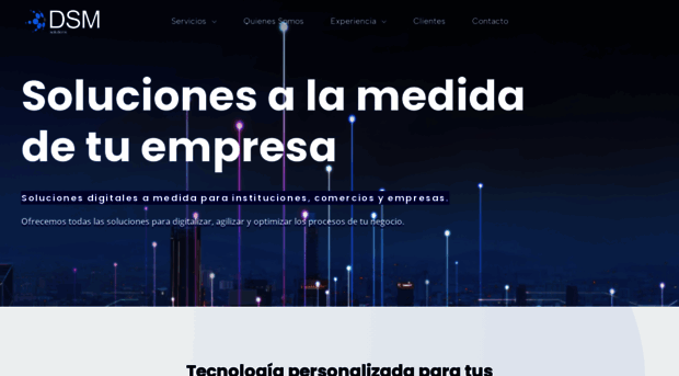 dsmsolutions.cl