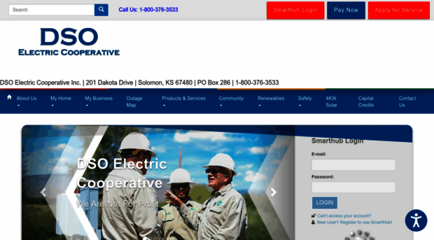 dsoelectric.com