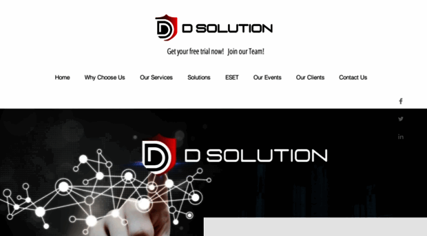 dsolution.com