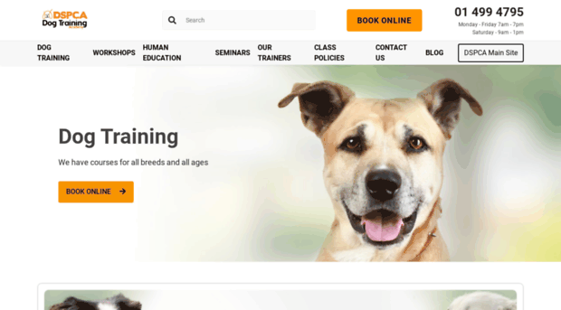 dspcadogtraining.ie