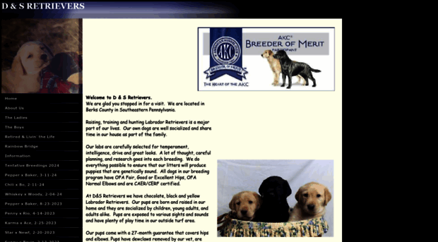 dsretrievers.com