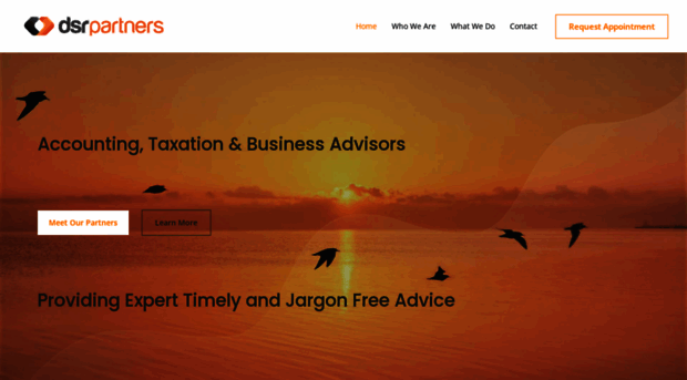 dsrpartners.com