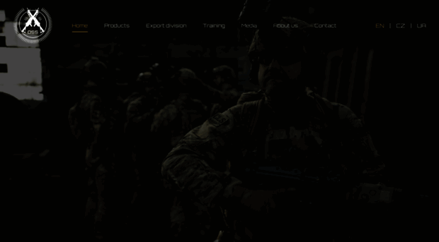 dss-cz.com