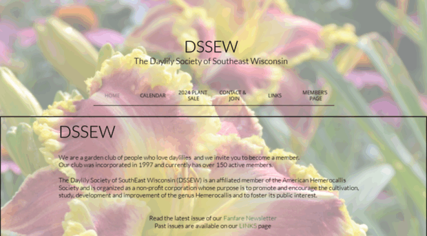 dssew.org