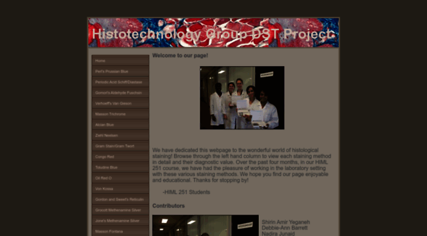 dstgroupproject.weebly.com