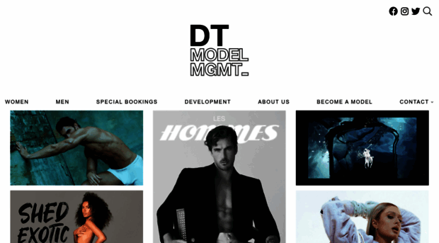 dtmodelmanagement.com