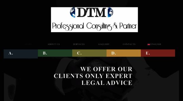 dtmprofessionalconsulting.com