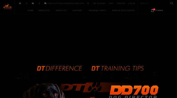 dtsystems.com