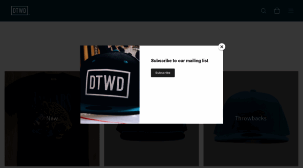 dtwdshop.com