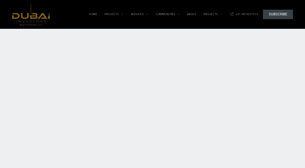 dubainvestors.com