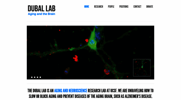 duballab.org