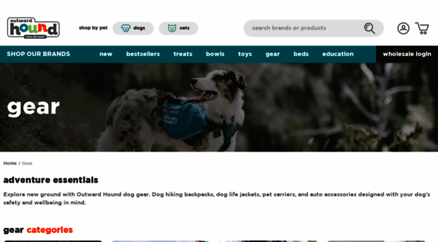 dublin-dog.outwardhound.com