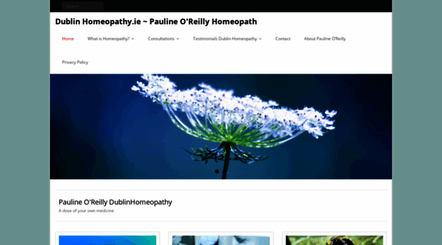 dublinhomeopathy.ie