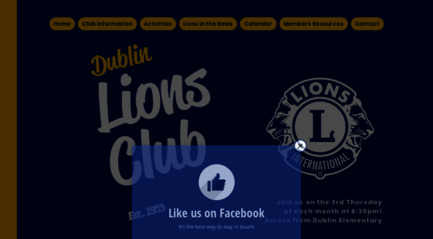 dublinlions.org