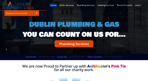 dublinplumbingandgas.com