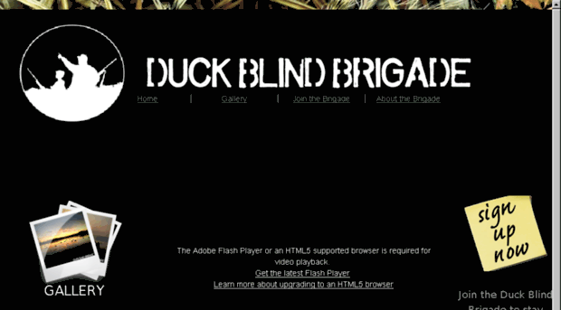 duckblindbrigade.com