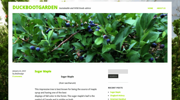 duckbootgarden.com