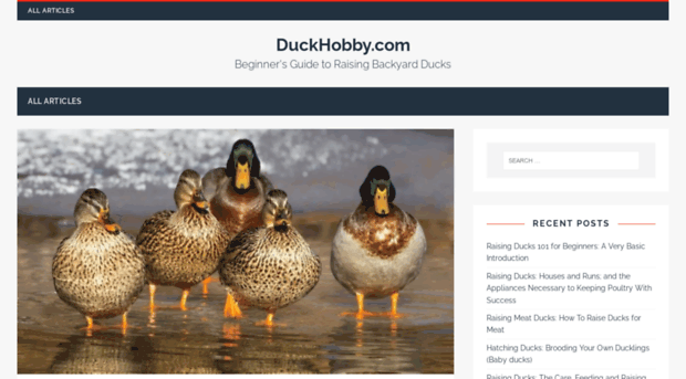duckhobby.com