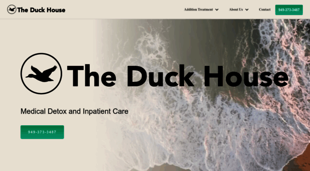 duckhouserecovery.com