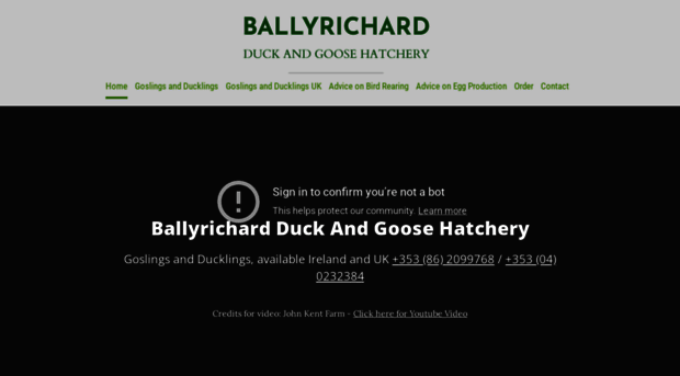 ducksandgeesehatchery.ie