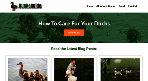 ducksguide.com