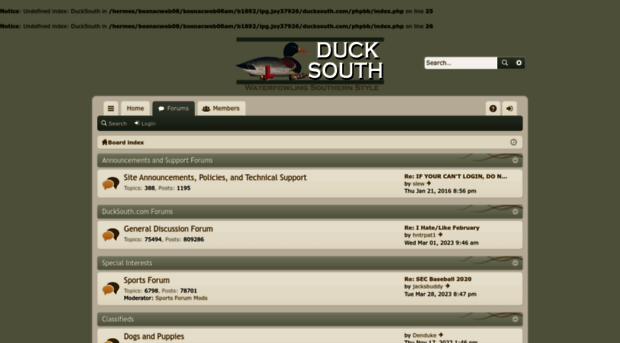 ducksouth.com