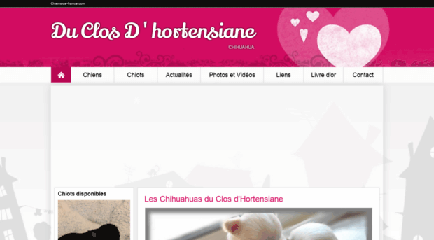 duclosdhortensiane.chiens-de-france.com