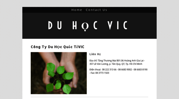 duhocmyvic.yolasite.com