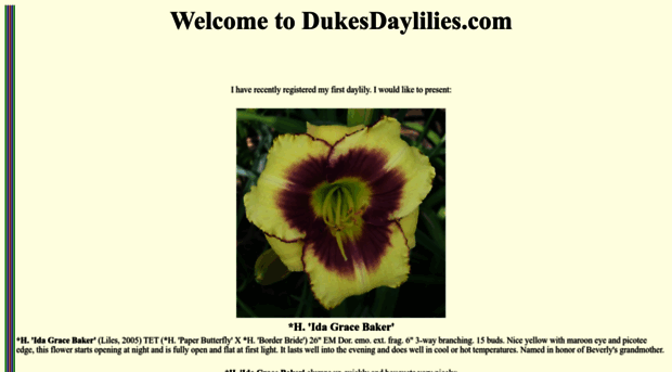 dukesdaylilies.com