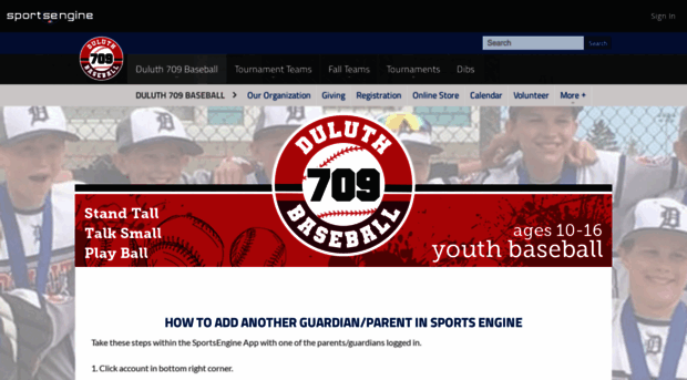 duluth709baseball.sportngin.com