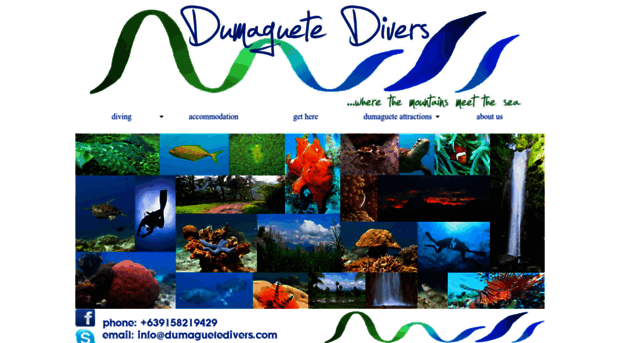 dumaguetedivers.com