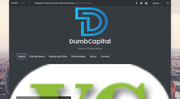 dumbcapital.com