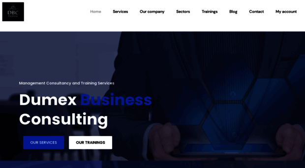 dumexbusinessconsulting.com