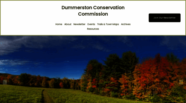 dummerstonconservation.com