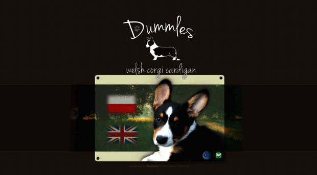 dummles.pl