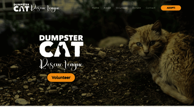 dumpstercats.org